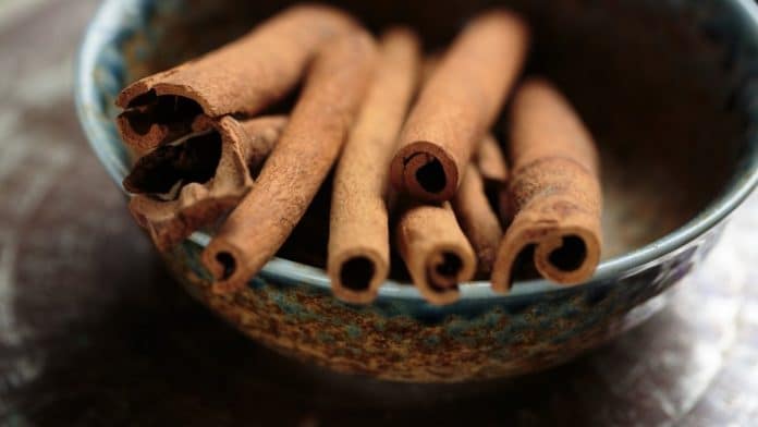dalchini cinnamon benefits