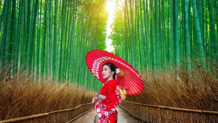 japan traditional dress lady with umbrella